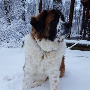 Meet your Posher, Susan